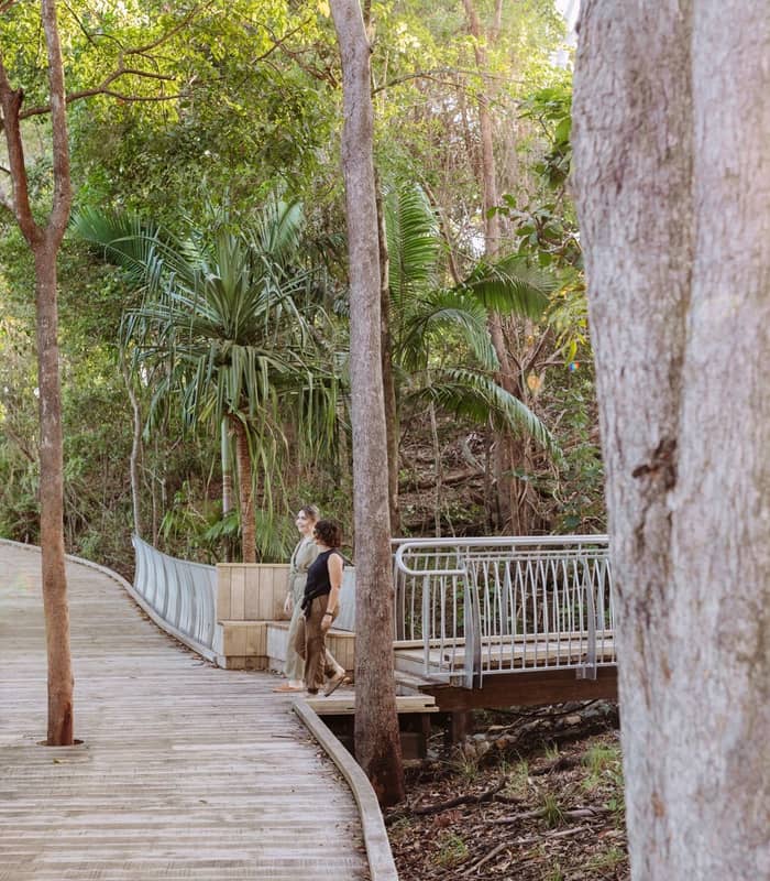 : Two visitors take a stroll along the accessible, elevated boardwalk through the lush coastal forest of Noosa National Park.