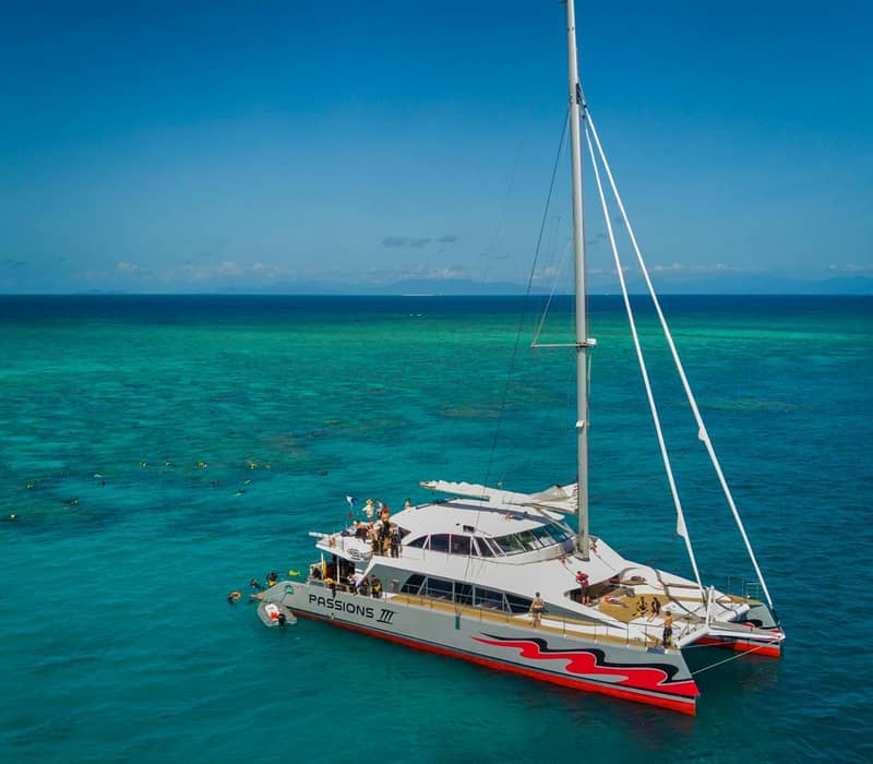 Catamaran Passions III on clear blue ocean with snorkelers swimming around it under a bright blue sky.