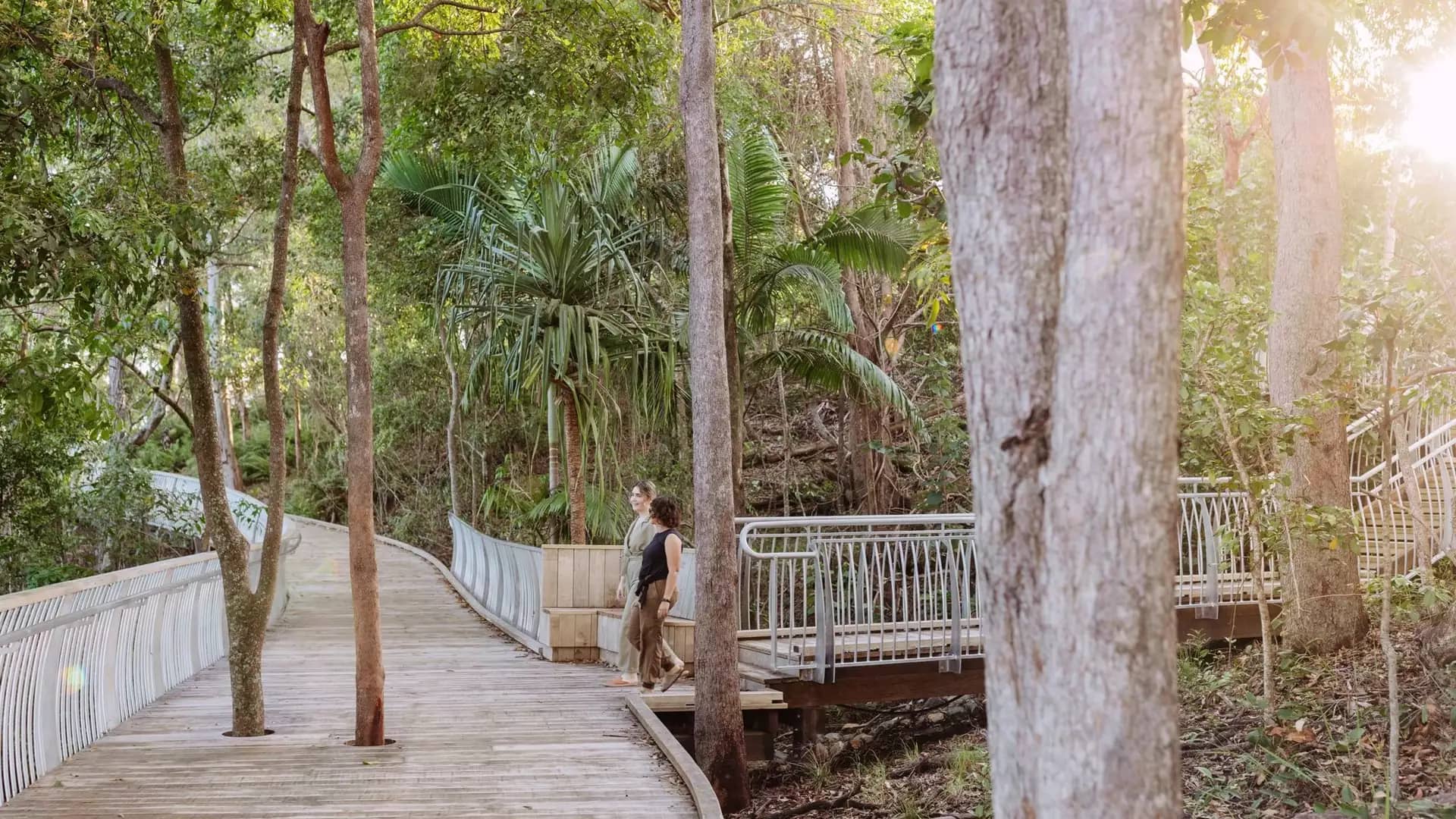 : Two visitors take a stroll along the accessible, elevated boardwalk through the lush coastal forest of Noosa National Park.