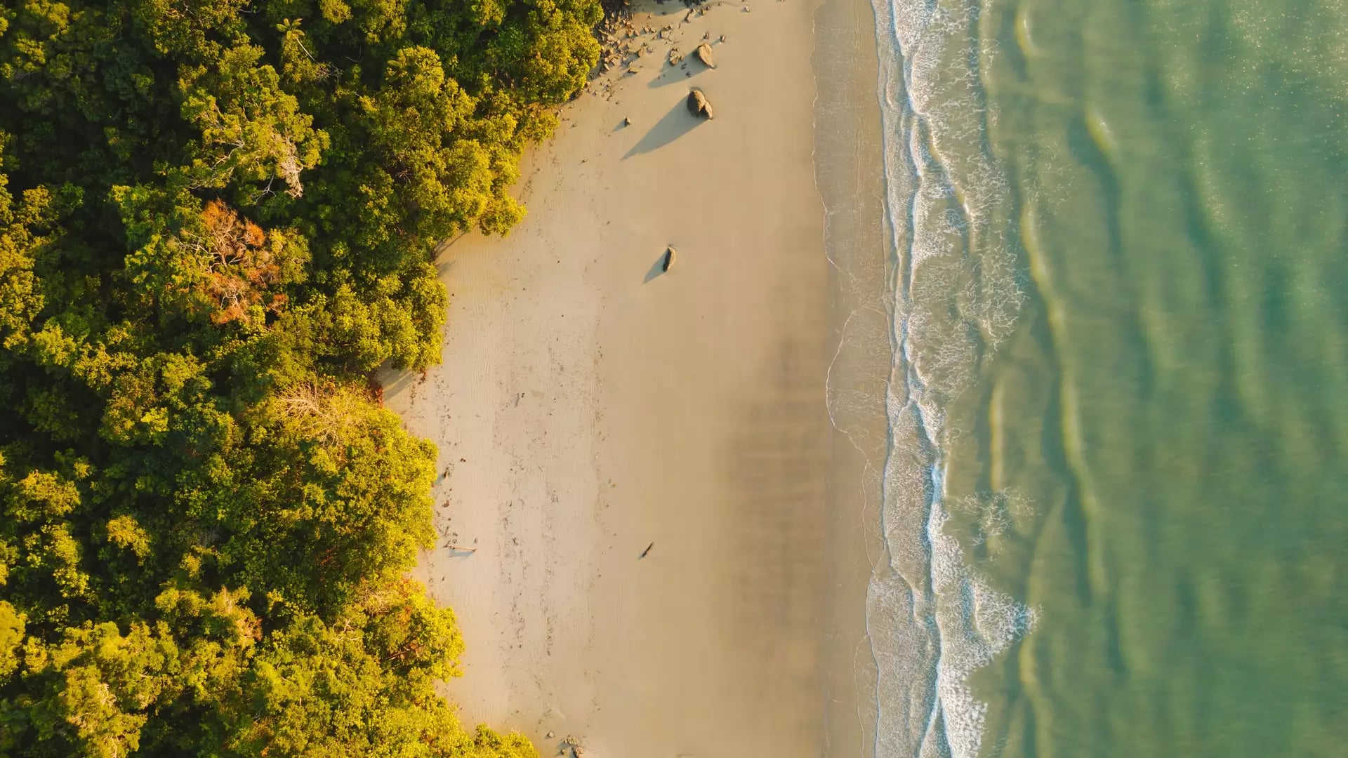 Looking straight down from above at Noah Beach, where the golden light of the afternoon sun highlights the bright green rainforest canopy and the rippled wet sand of the shoreline.