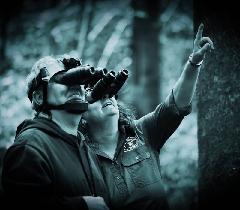 Close-up of travellers wearing specialised night vision equipment in a dark rainforest setting.