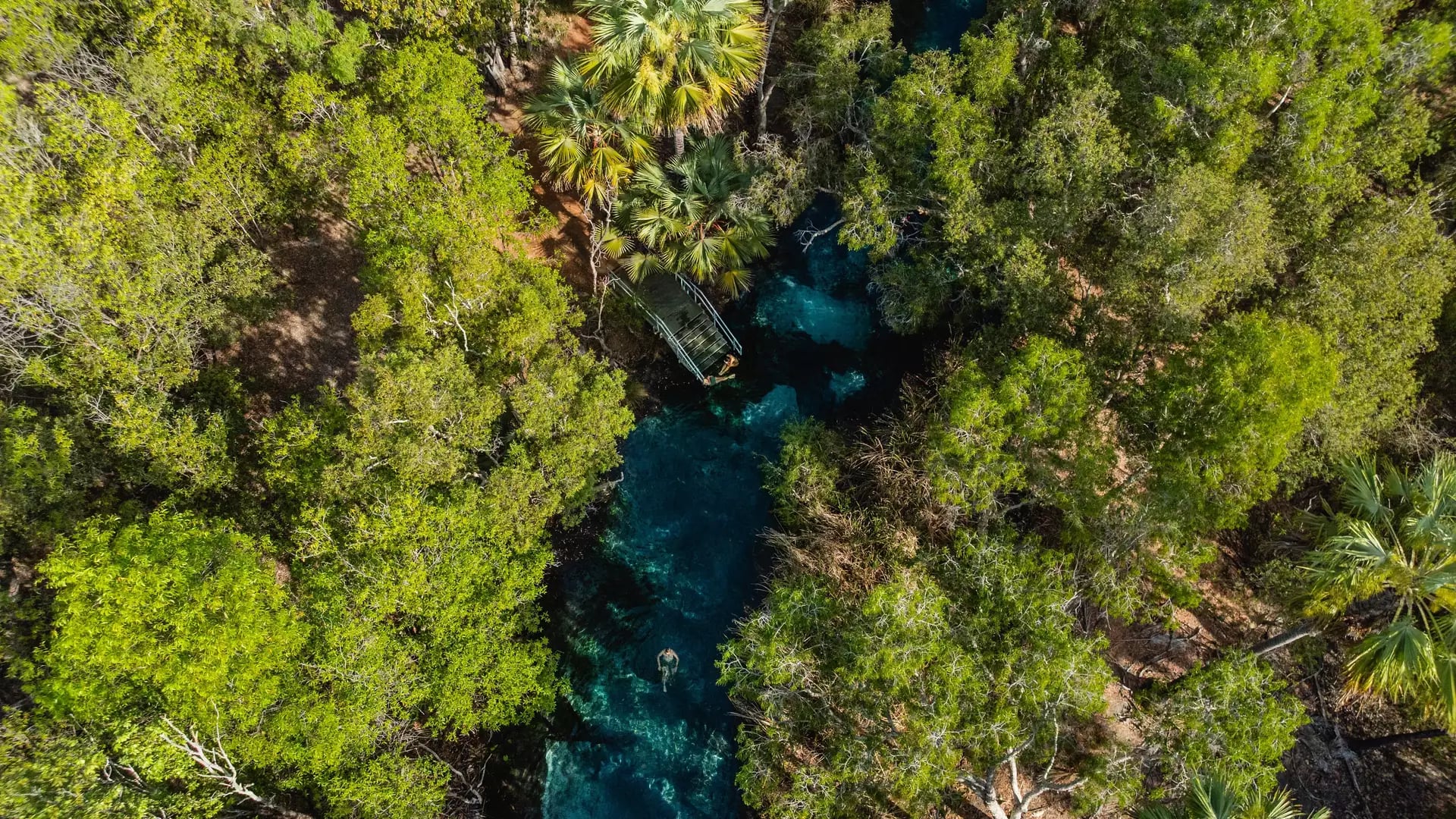 Northern Territory, Top End, Bitter Springs, Elsey National Park