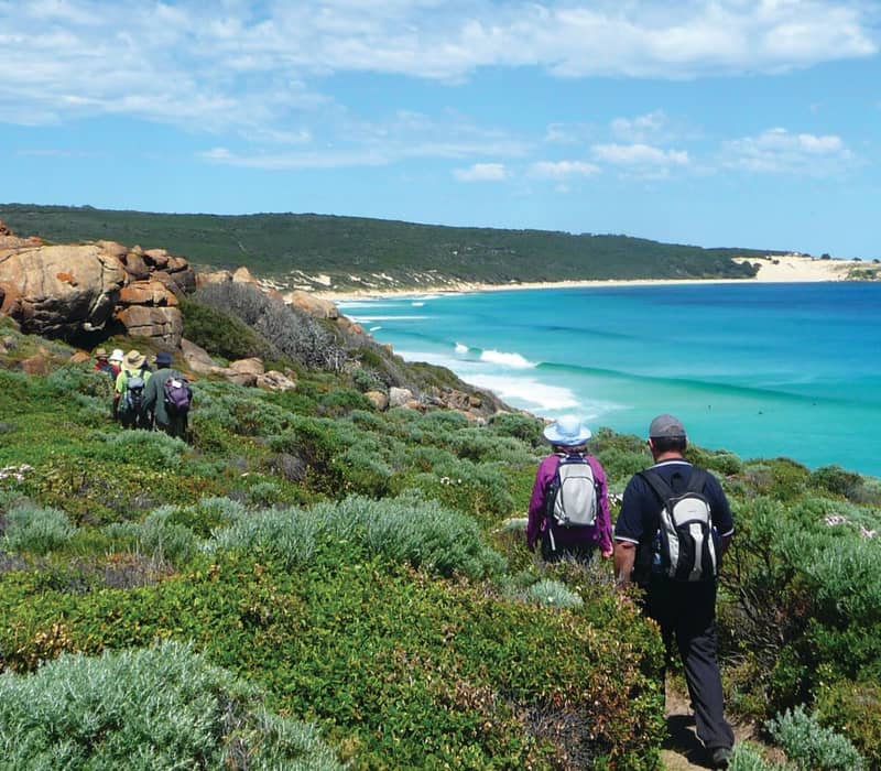 Rear view of hikers walking along a green coastal path toward a bright turquoise bay with white sand beaches.