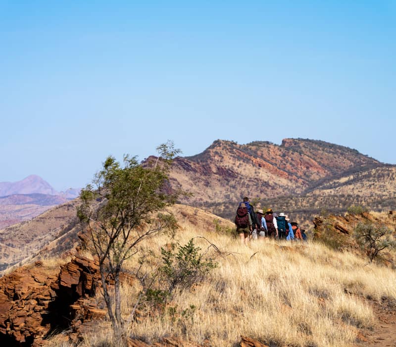 A line of hikers with backpacks walking along a golden grass ridgeline in the Red Centre, Northern Territory.