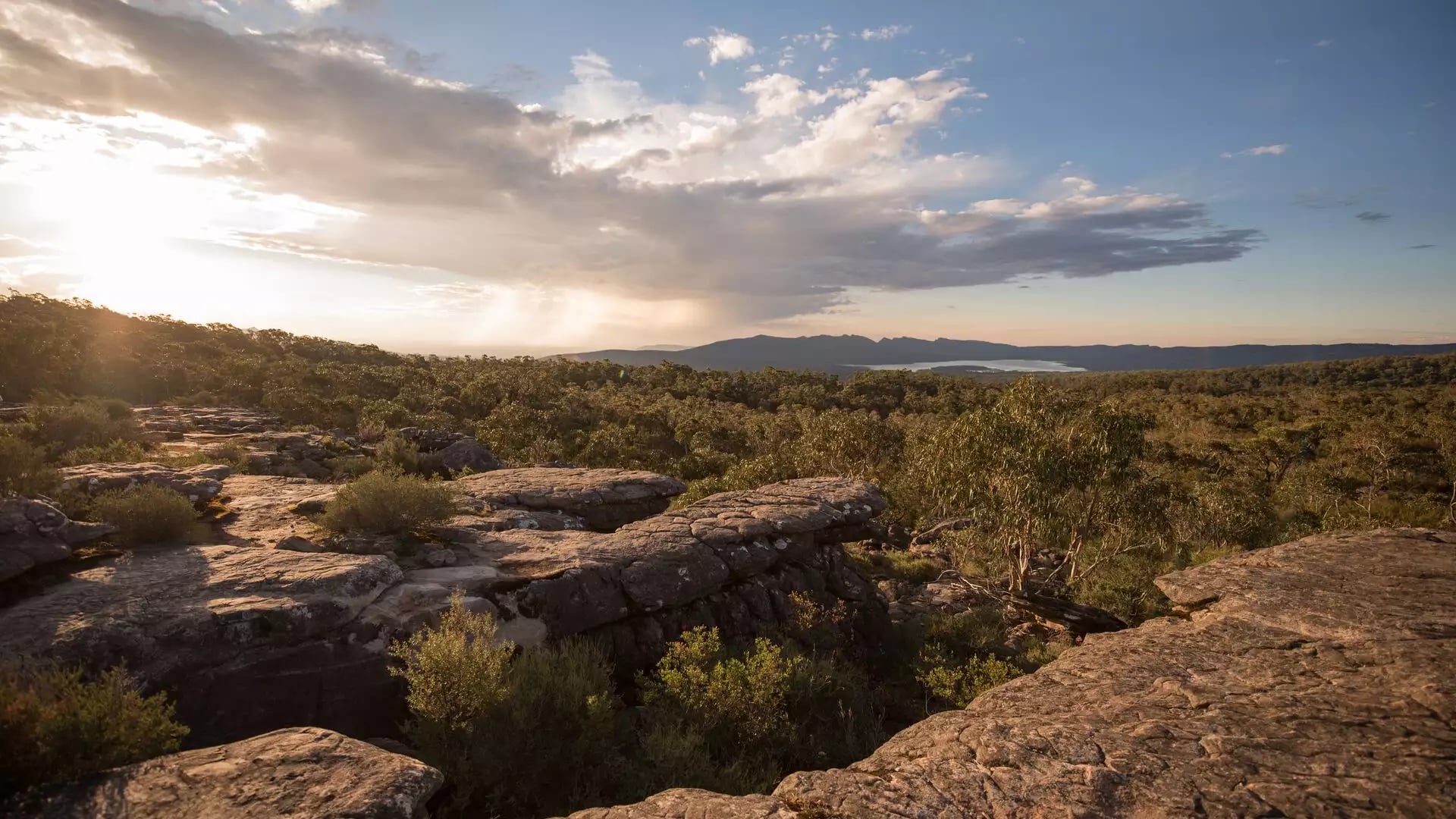 High-angle view of rugged rocky outcrops in the foreground looking out over a dense green forest valley at sunset with light rays breaking through clouds.
