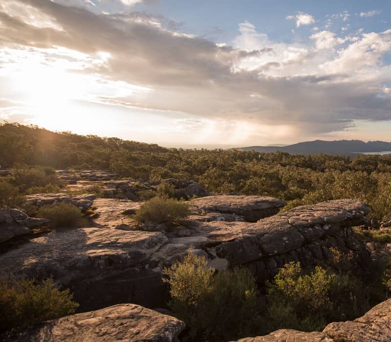 High-angle view of rugged rocky outcrops in the foreground looking out over a dense green forest valley at sunset with light rays breaking through clouds.