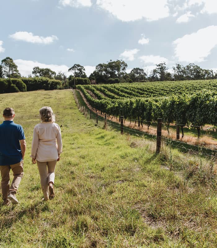A man and woman walking through a lush green vineyard under a bright blue sky in the Barossa Valley, South Australia.