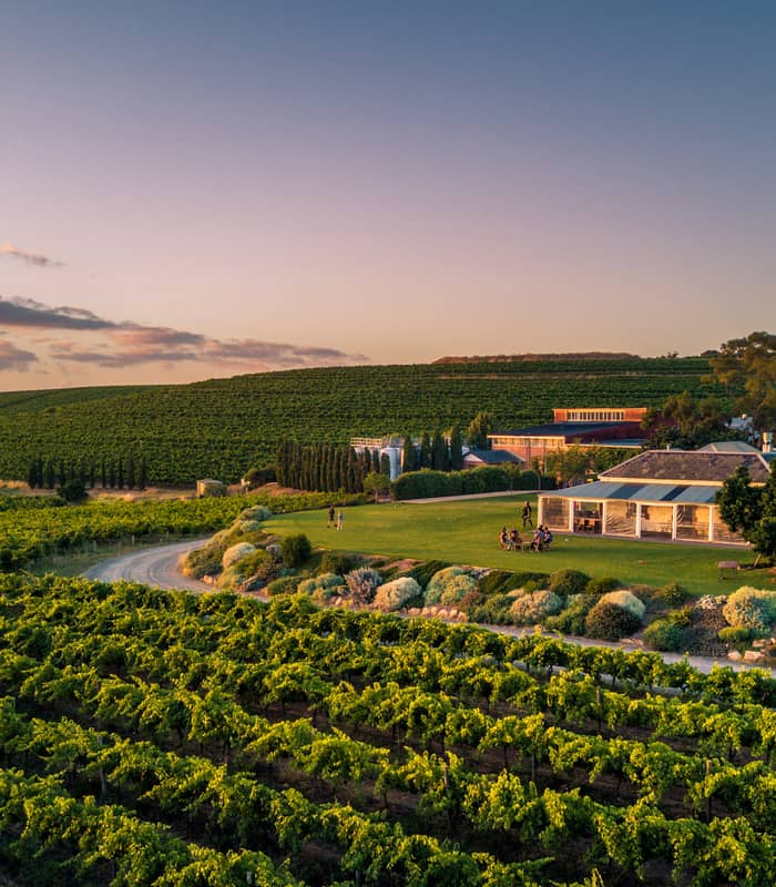 Aerial view of lush green vineyards and a historic winery building at sunset in McLaren Vale, South Australia.