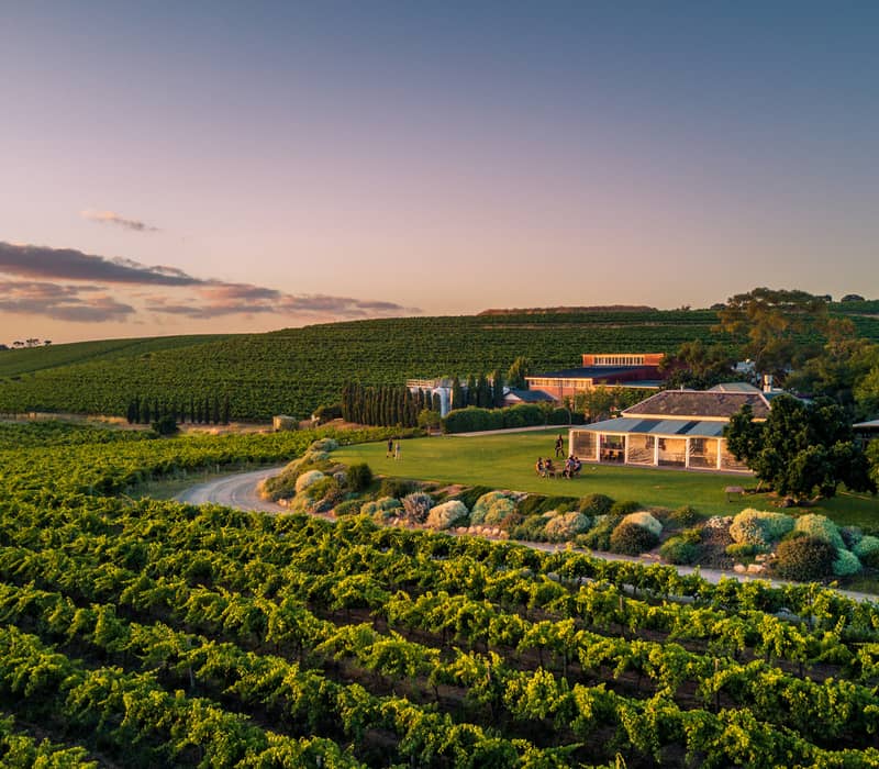 Aerial view of lush green vineyards and a historic winery building at sunset in McLaren Vale, South Australia.