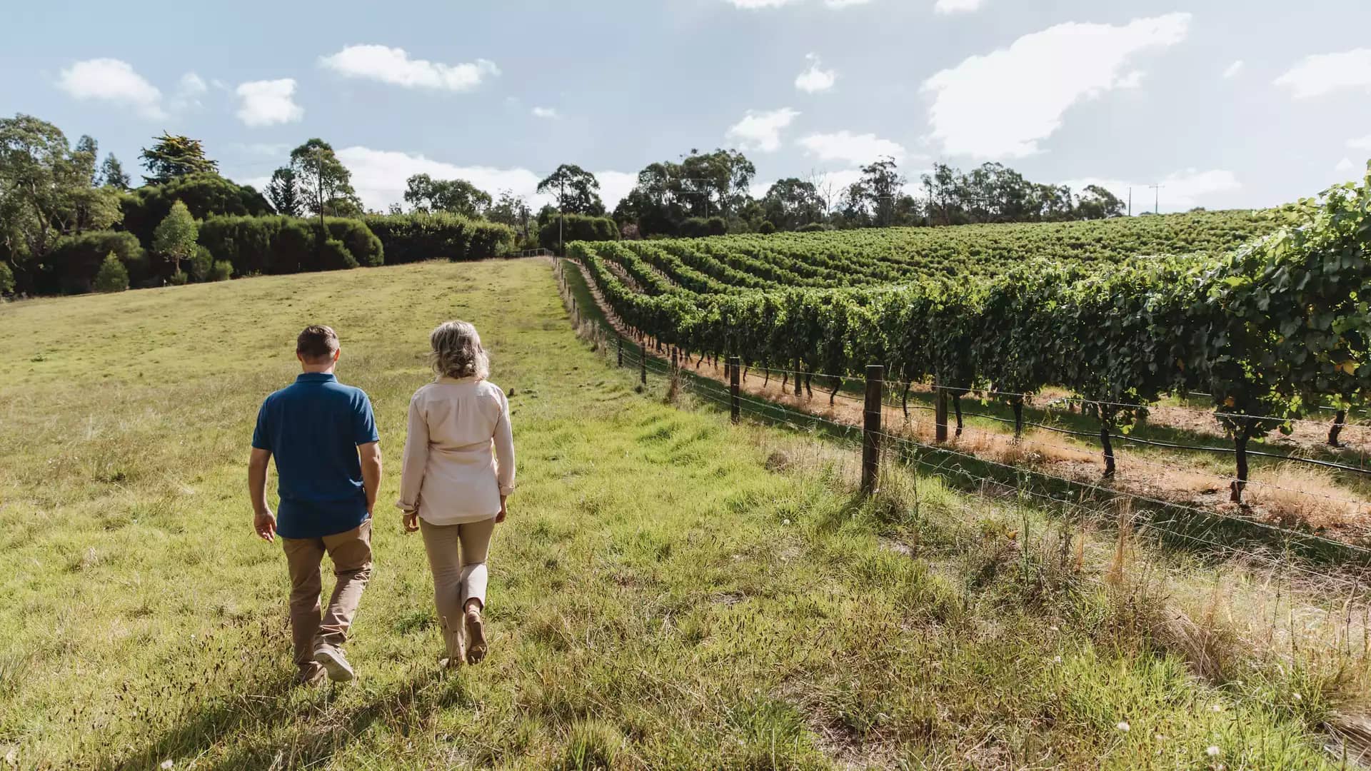 A man and woman walking through a lush green vineyard under a bright blue sky in the Barossa Valley, South Australia.