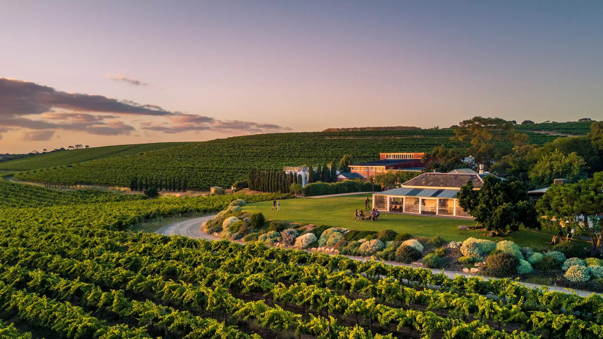 Aerial view of lush green vineyards and a historic winery building at sunset in McLaren Vale, South Australia.