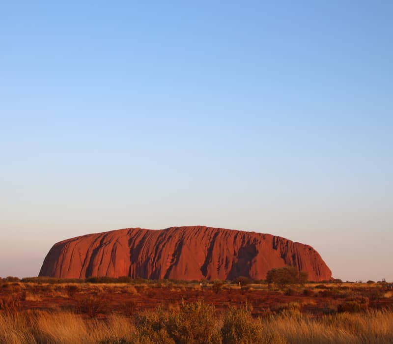 Distant view of Uluru monolith glowing red in the afternoon light with dry desert grass in the foreground.