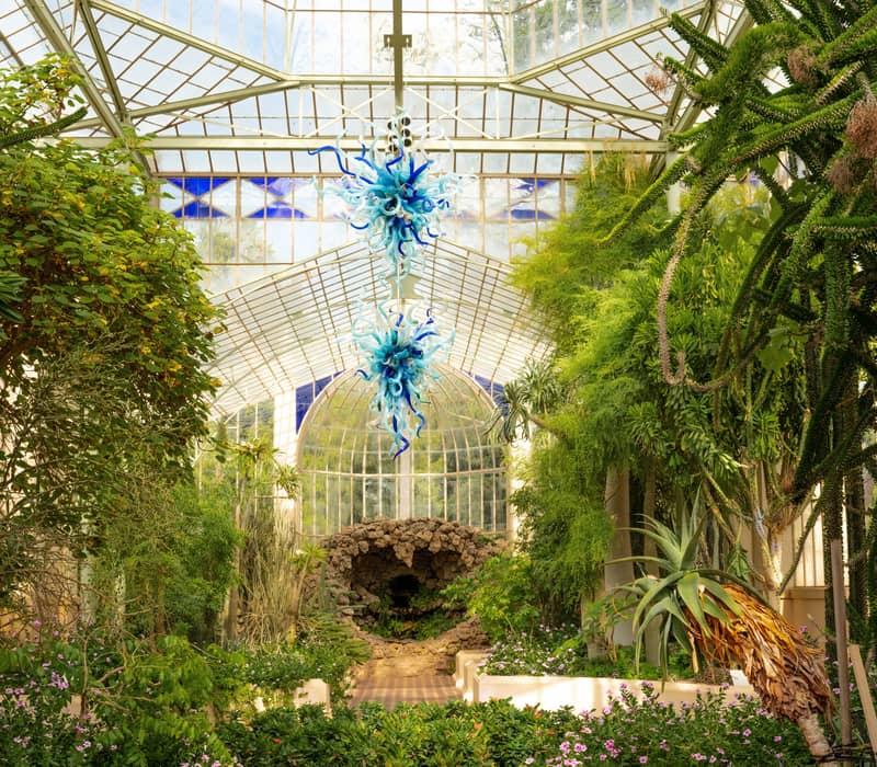 A lush, sunlit interior of a large Victorian glasshouse, known as the Palm House in the Adelaide Botanic Garden, filled with tropical plants and cacti. Two large, vibrant blue glass chandeliers, identified as the "Glacier Ice and Lapis Chandelier" by arti