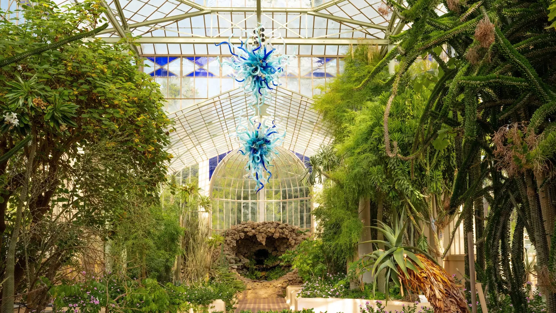 A lush, sunlit interior of a large Victorian glasshouse, known as the Palm House in the Adelaide Botanic Garden, filled with tropical plants and cacti. Two large, vibrant blue glass chandeliers, identified as the "Glacier Ice and Lapis Chandelier" by arti