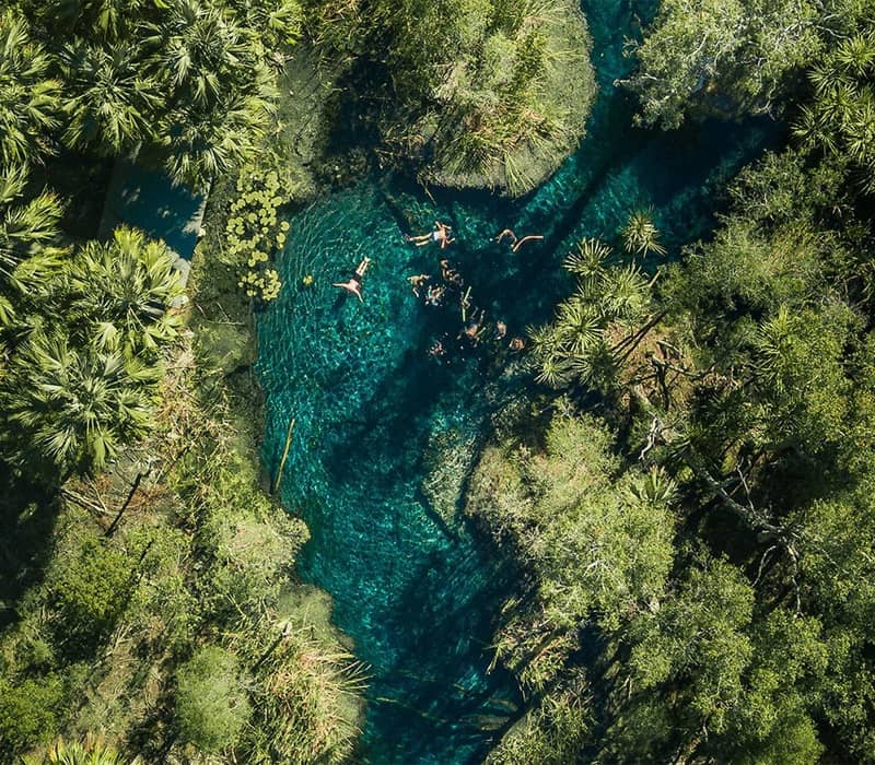 Aerial perspective of people floating in a bright blue-green natural spring surrounded by lush tropical palms and vegetation.