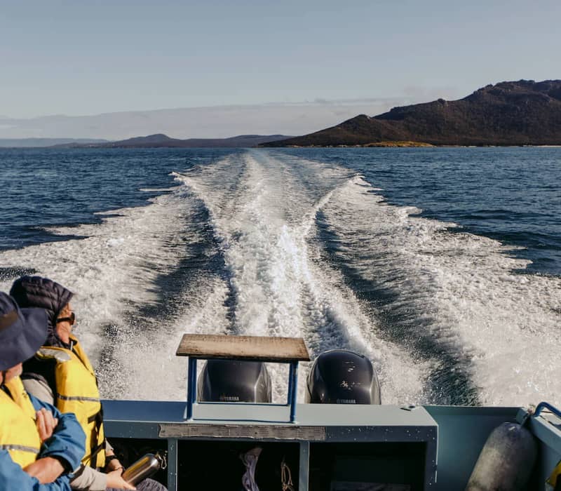Passengers in life jackets on a motorboat leaving a white wake with Tasmanian mountains in the background.