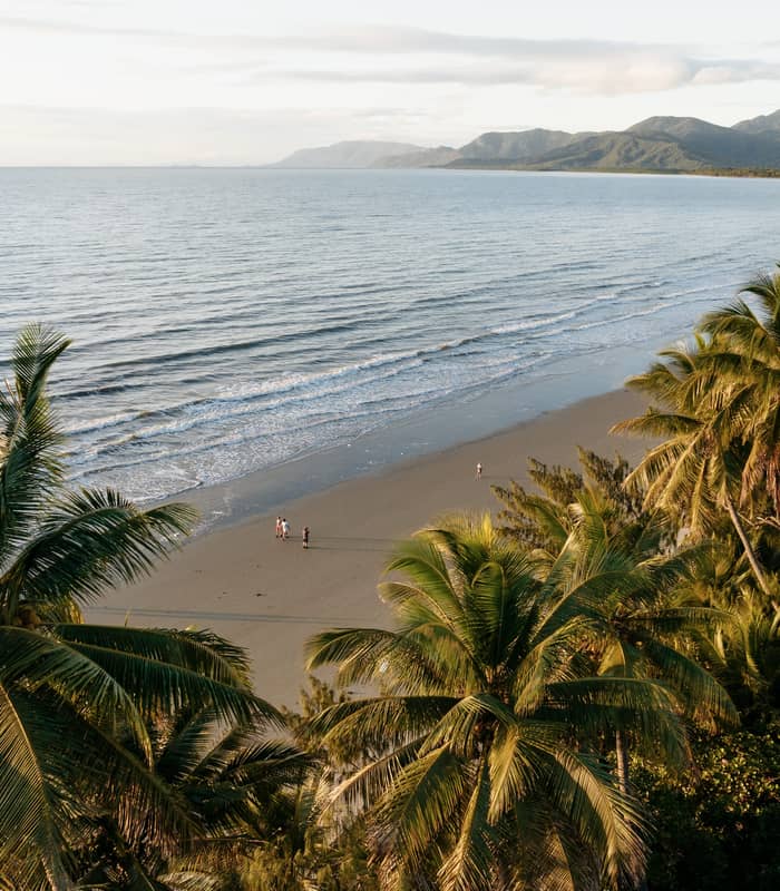 An aerial view of Four Mile Beach in Port Douglas with tropical palm trees in the foreground and blue ocean.