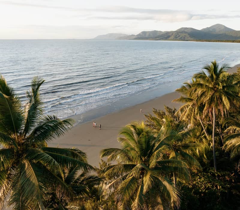 An aerial view of Four Mile Beach in Port Douglas with tropical palm trees in the foreground and blue ocean.