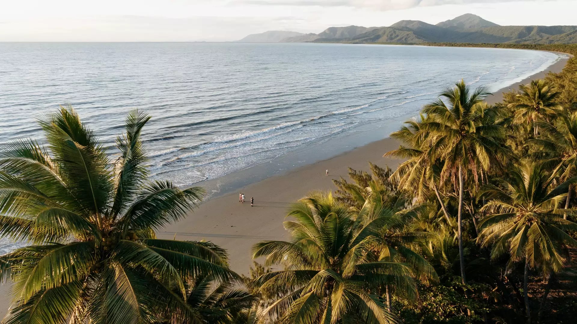 An aerial view of Four Mile Beach in Port Douglas with tropical palm trees in the foreground and blue ocean.