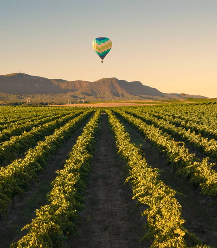 Aerial view of a green and blue hot air balloon flying over rows of lush grapevines in the Hunter Valley at dawn.