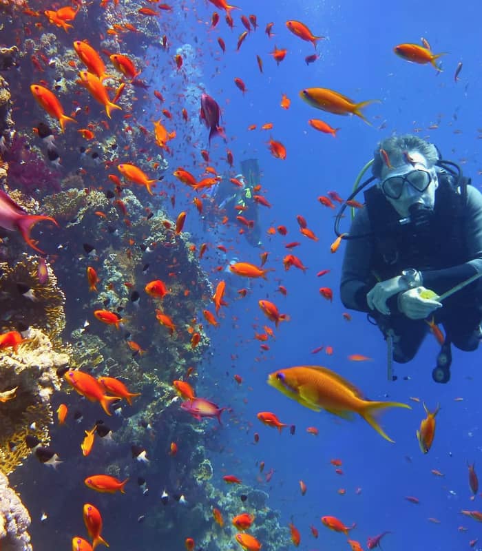 Great barrier reef - scuba diver.jpg