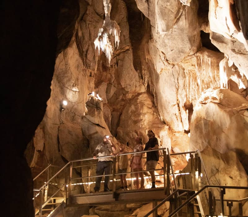A family standing on a metal walkway inside a massive limestone cave illuminated by spotlights.