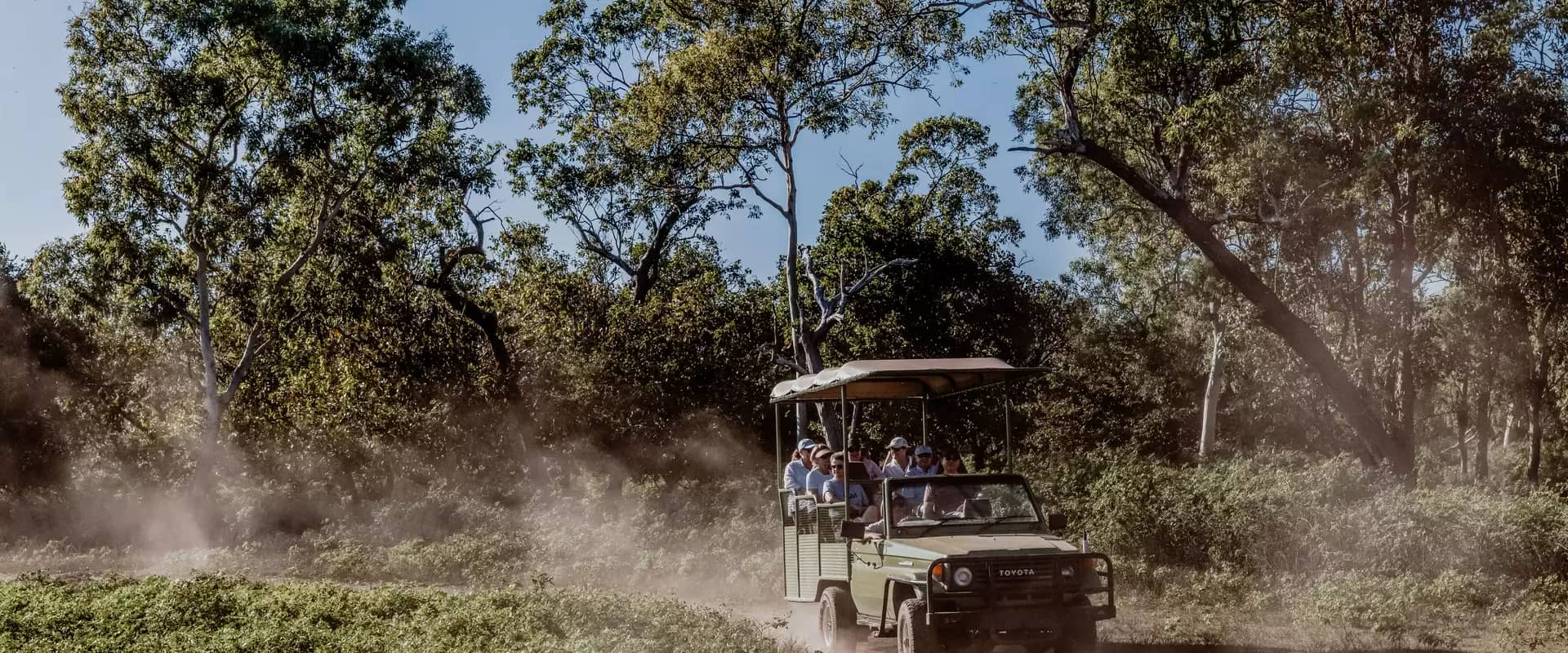 A green safari vehicle kicks up a cloud of dust as it carries a group of people through a sun-drenched wooded area in the outback.
