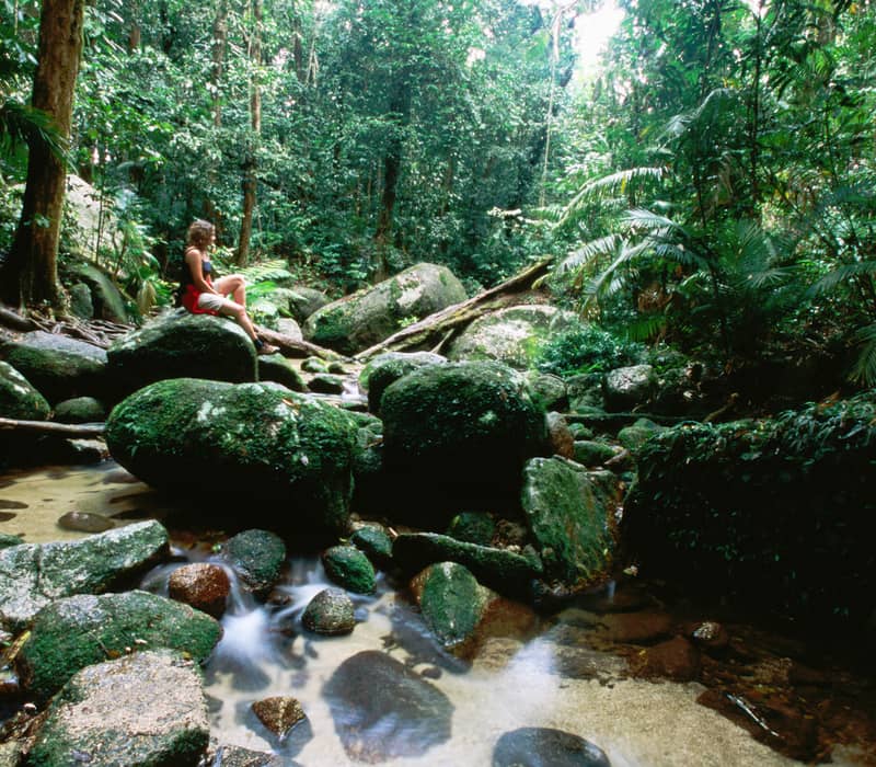 A woman sitting on large rocks in a clear forest stream surrounded by dense tropical jungle in Queensland.