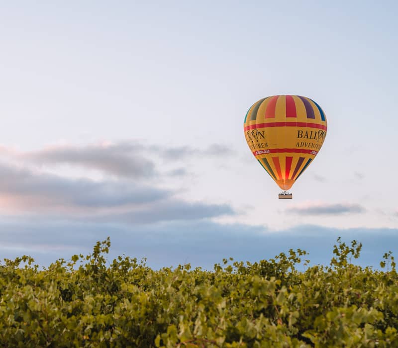 A yellow and red hot air balloon floats in a pale sky above green grapevines in the Barossa.