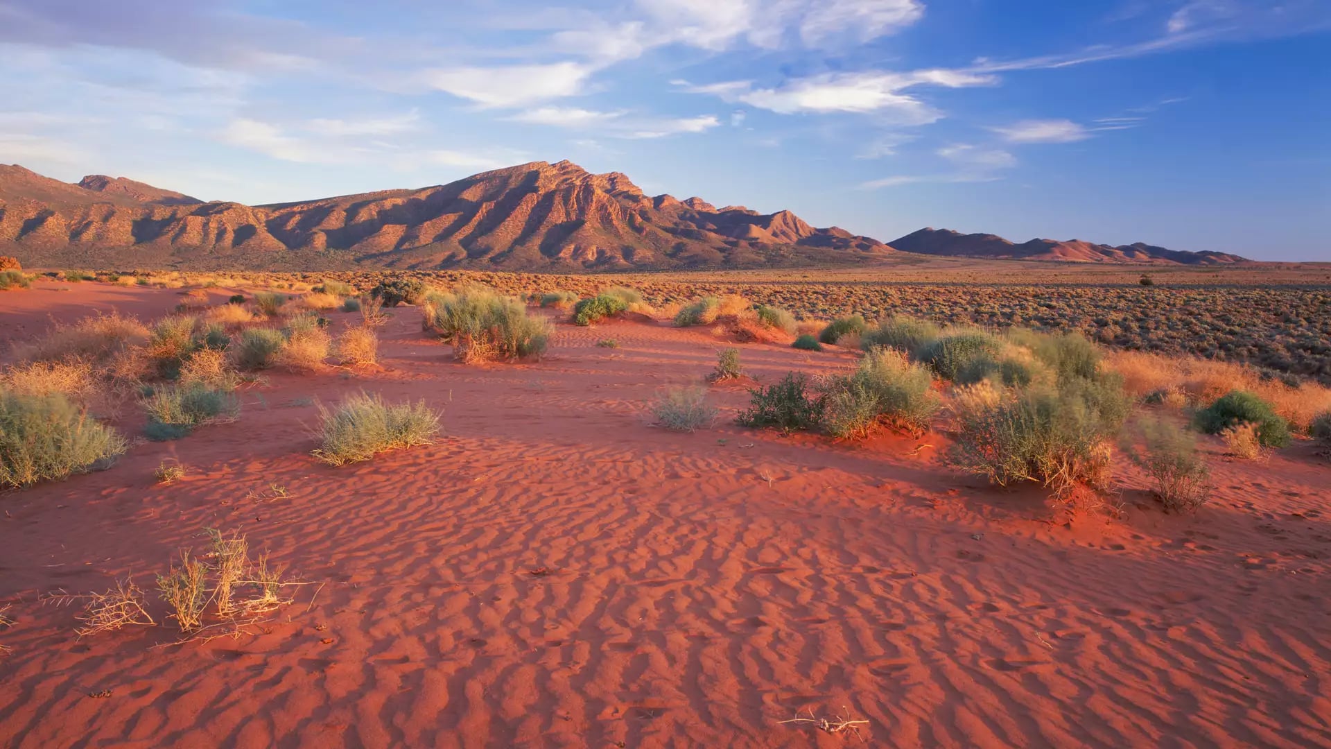Red sand ripples in the foreground leading to rugged blue-tinged mountains under a bright afternoon sky.