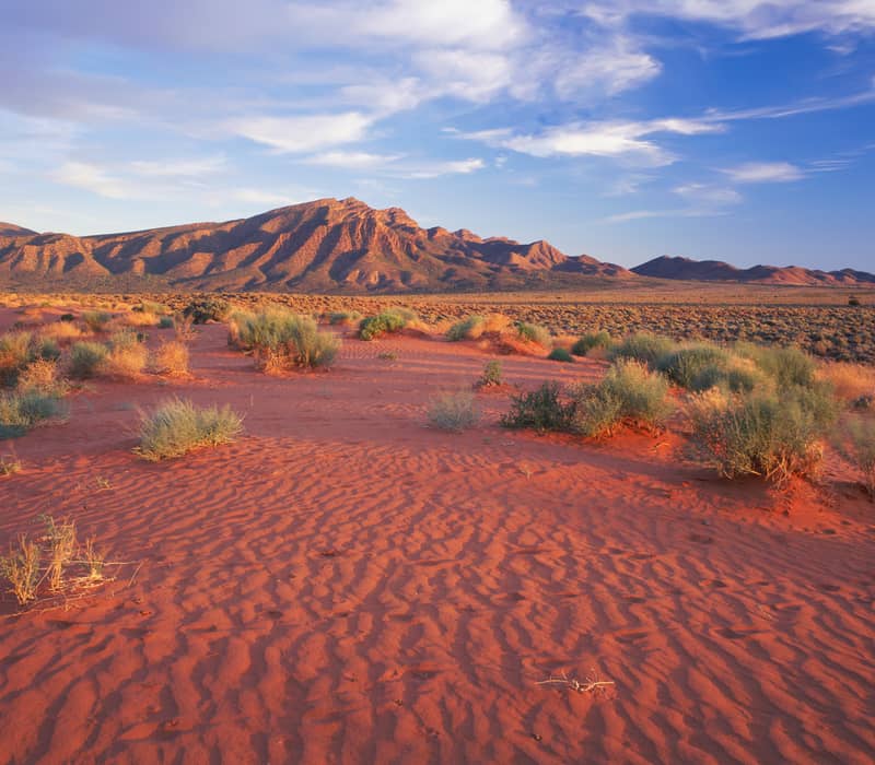 Red sand ripples in the foreground leading to rugged blue-tinged mountains under a bright afternoon sky.