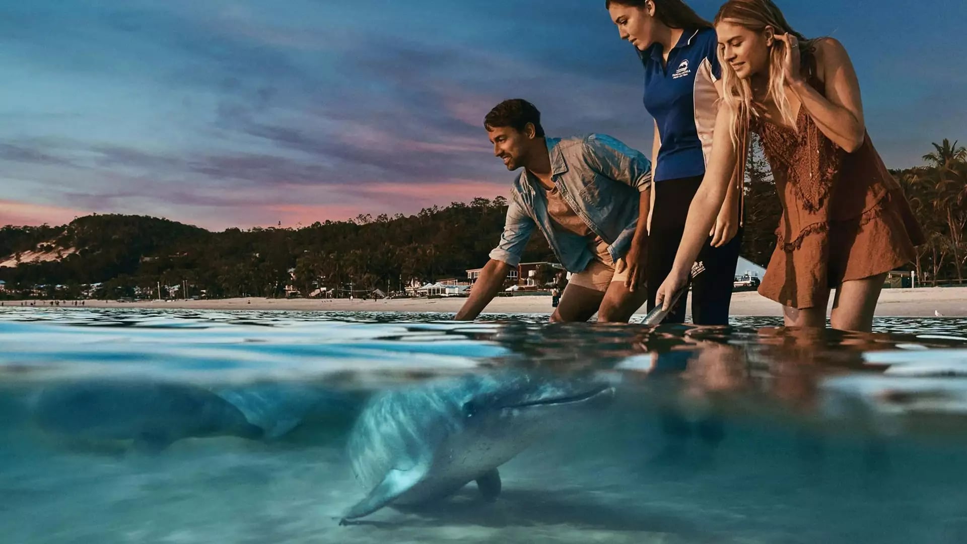 Three people interacting with a dolphin in shallow water near a beach at sunset.