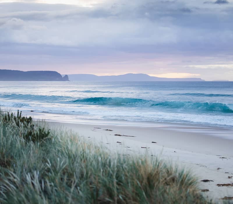 Bruny Island Neck is an isthmus of land connecting north and south Bruny Island, southern Tasmania.