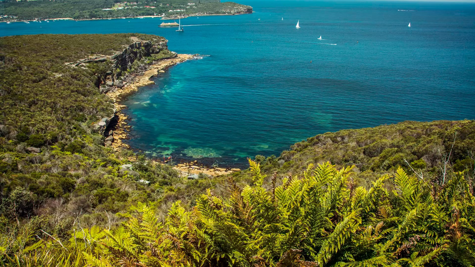 Lush green ferns in the foreground overlooking a rocky coastline and vibrant blue ocean with sailboats in the distance.