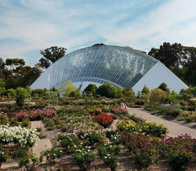 Colorful rose garden with a large glasshouse and trees under a partly cloudy sky