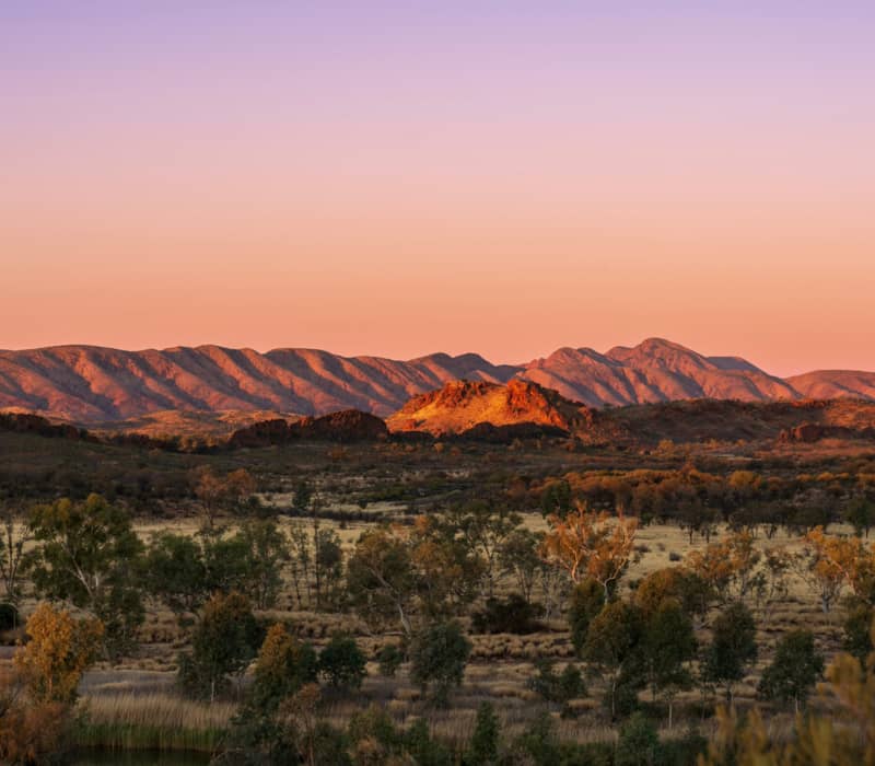 Panoramic view of rolling orange mountain ranges under a purple and gold sunset sky in the Northern Territory.