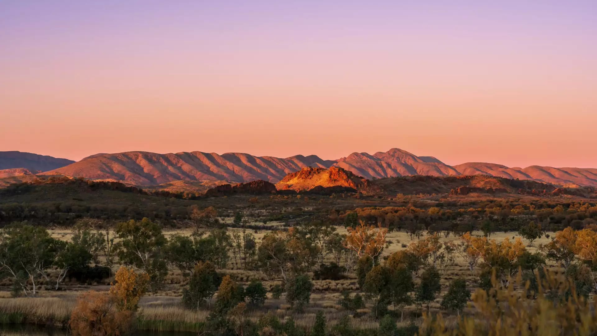 Panoramic view of rolling orange mountain ranges under a purple and gold sunset sky in the Northern Territory.
