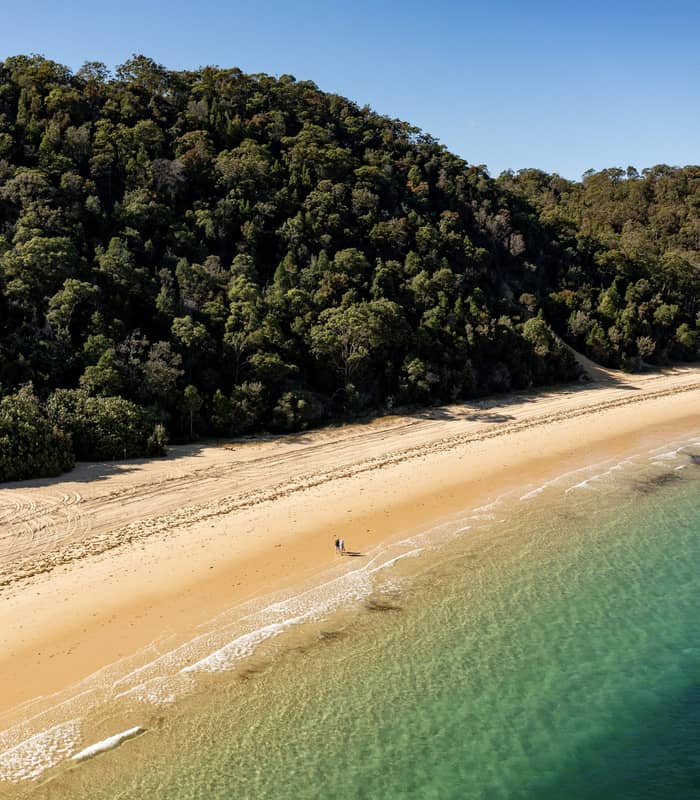 A high-angle aerial shot of a pristine golden beach on Moreton Island, where two people walk along the water's edge next to a lush, green forested hill.