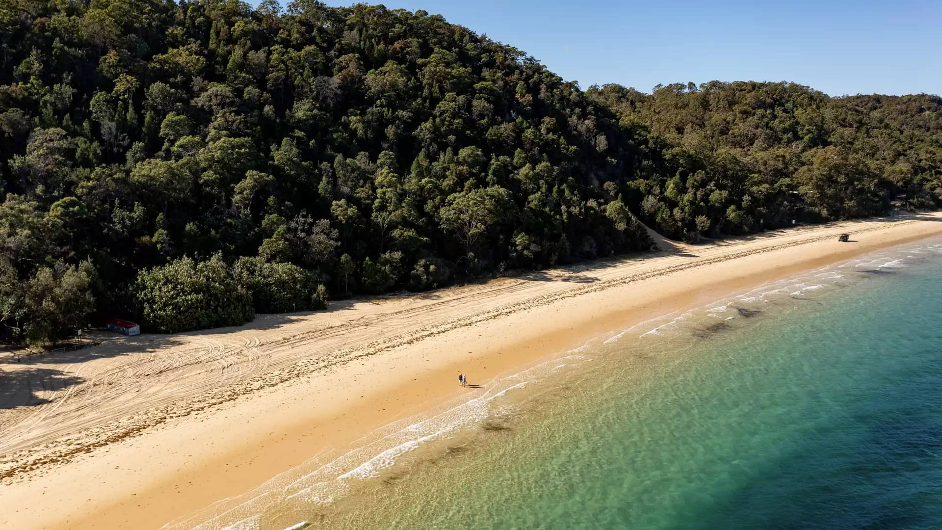 A high-angle aerial shot of a pristine golden beach on Moreton Island, where two people walk along the water's edge next to a lush, green forested hill.