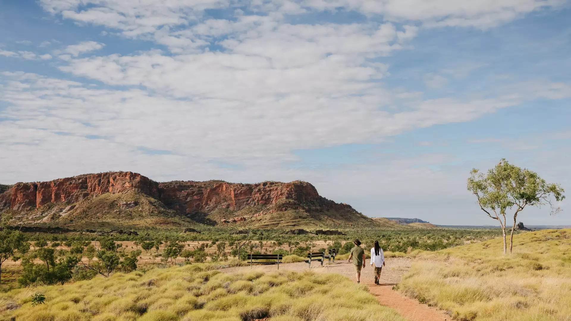 Two people walk along a dirt path through tall yellow grass towards the distinctive orange and black striped rock formations of the Bungle Bungle Range in Purnululu National Park, under a blue sky with white clouds