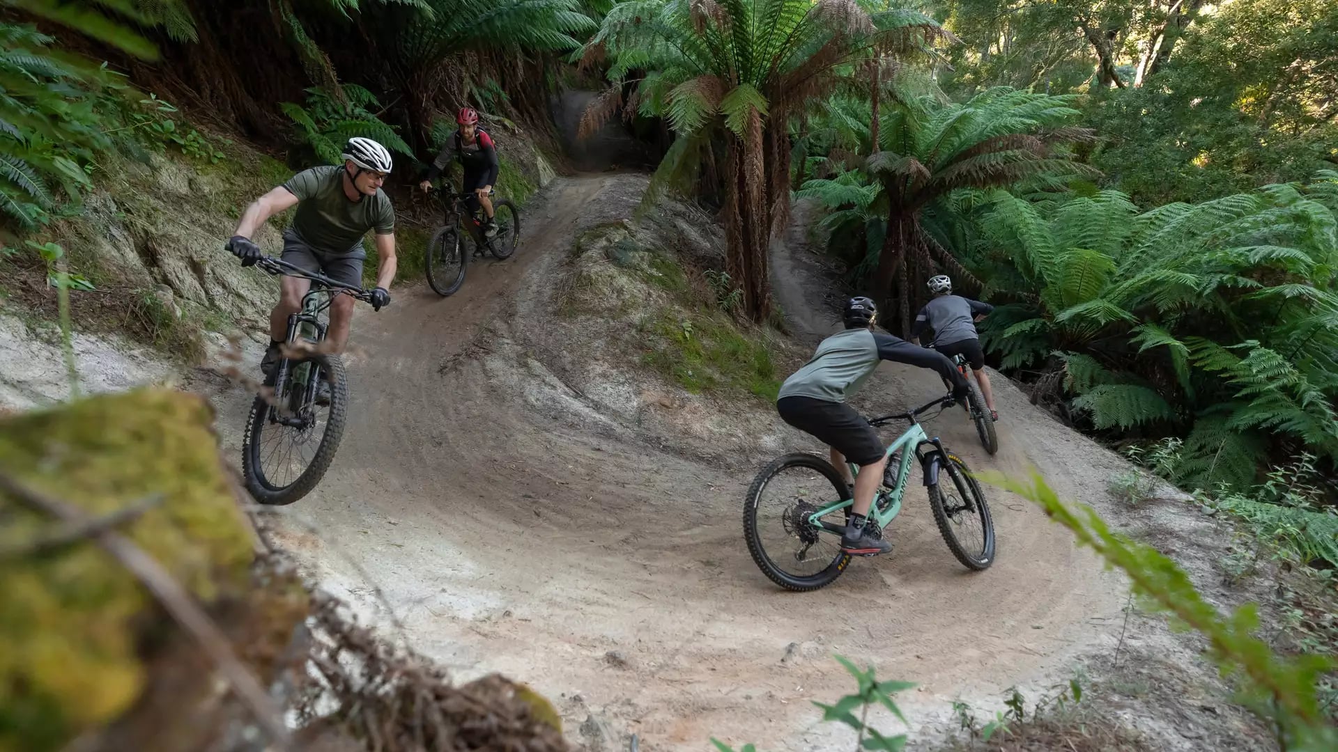 Mountain bikers riding down a curved dirt track among lush green tree ferns in Tasmania.