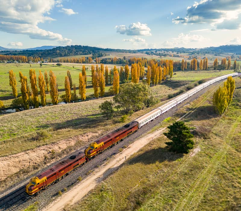 A vintage train traveling through a rural landscape lined with bright yellow autumn trees under a blue sky.