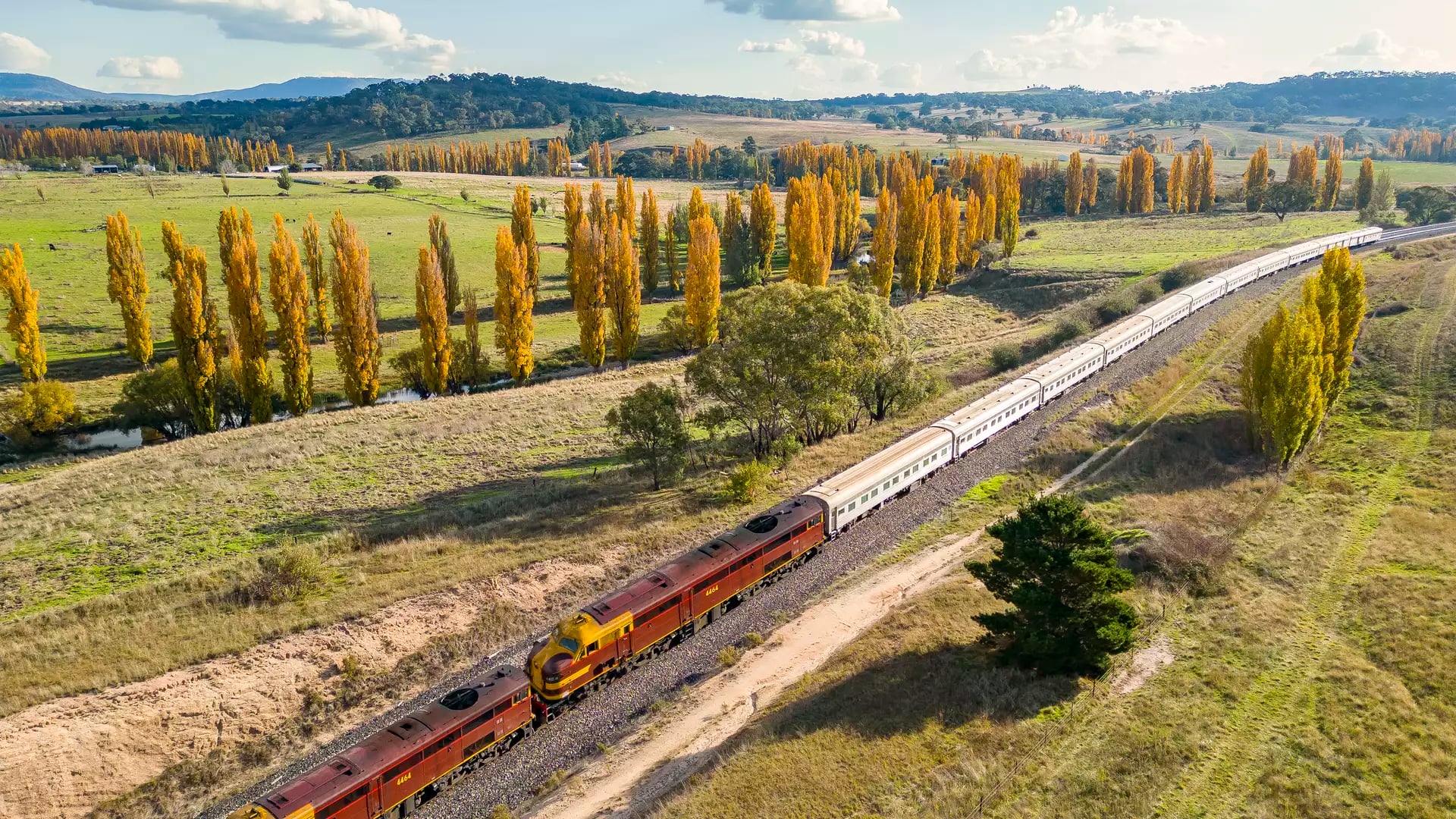 A vintage train traveling through a rural landscape lined with bright yellow autumn trees under a blue sky.