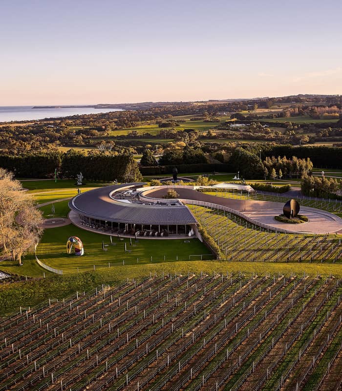 Aerial view of Point Leo Estate winery architecture and vineyards.
