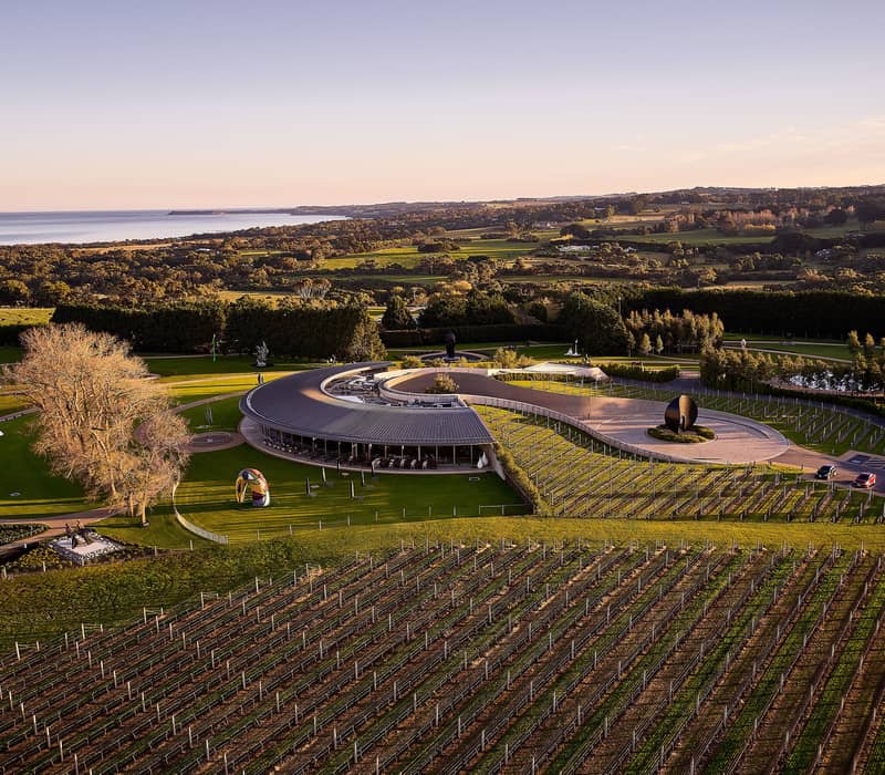 Aerial view of Point Leo Estate winery architecture and vineyards.