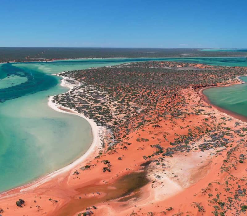 An expansive aerial view of the Shark Bay coastline featuring winding turquoise channels and vibrant red sand dunes under a clear blue sky.