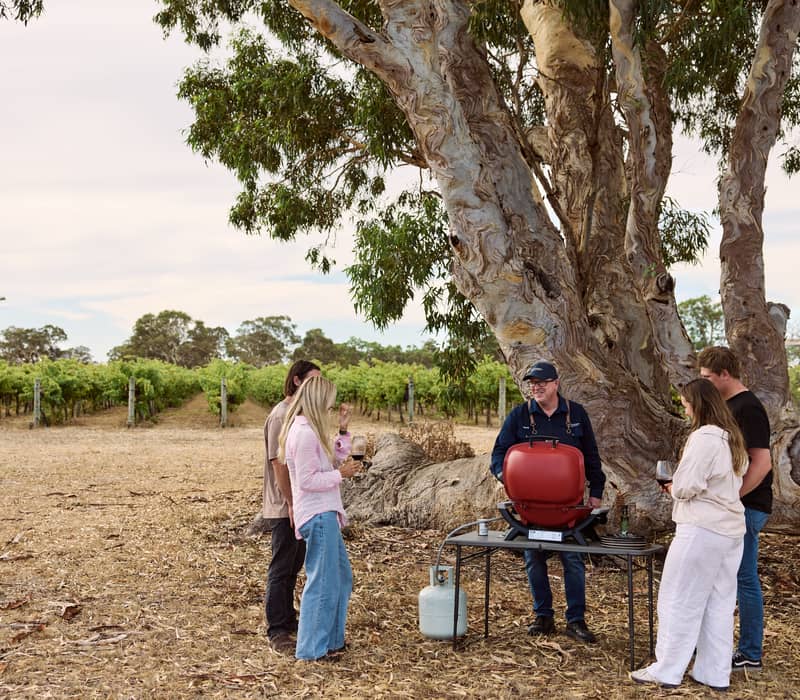 A group of five people socialise around a small red portable barbecue grill near a large tree in a vineyard