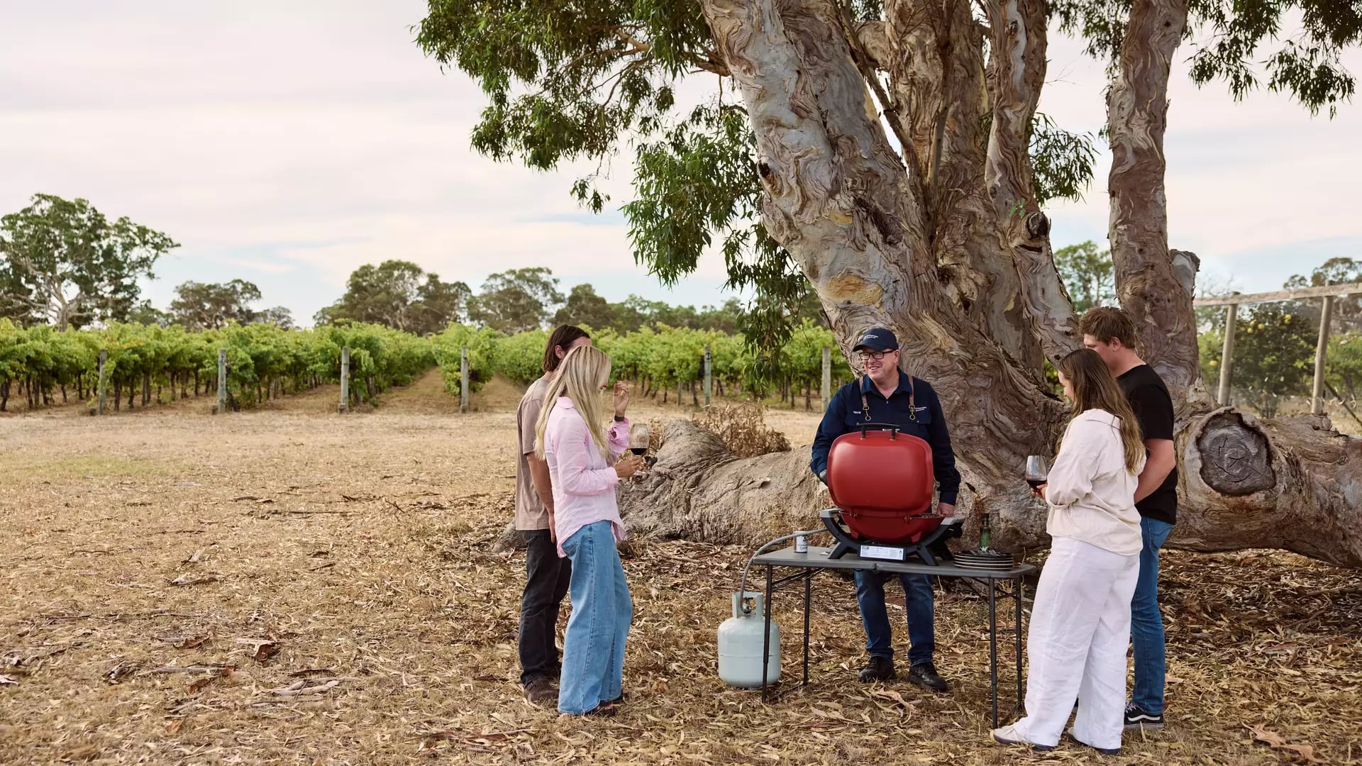 A group of five people socialise around a small red portable barbecue grill near a large tree in a vineyard