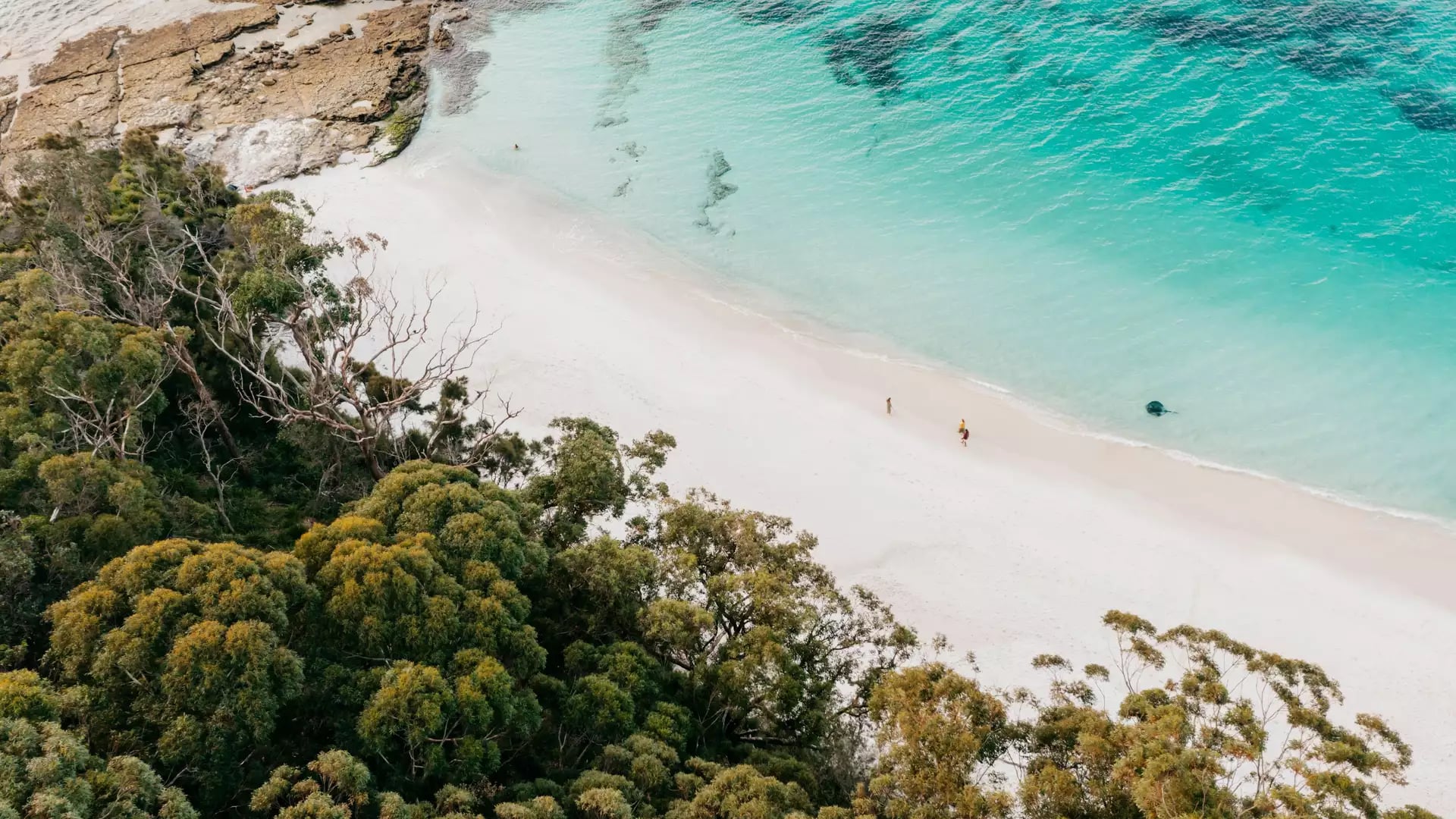 High-angle view of a white sand beach meeting clear blue water bordered by thick green trees.