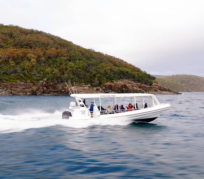 A white eco-cruise boat speeds across blue water with forested cliffs in the background.